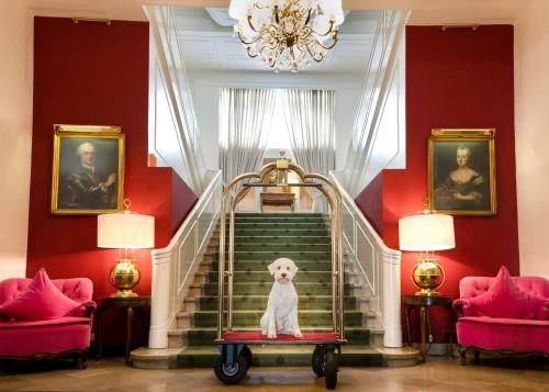 Hotel Europäischer Hof Heidelberg - image 5