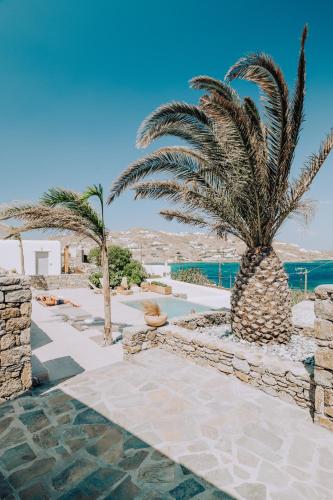 Aelia Mykonos - Hôtel - Ornos