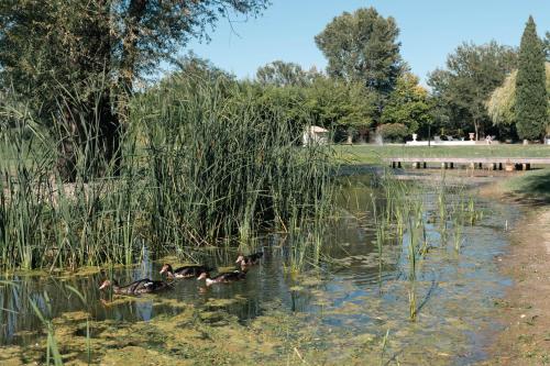 Mas du Versadou, dans un espace naturel protégé, piscine Chauffée, Spa et salle de jeux
