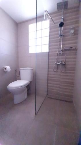  Elia Apartments in Afytos