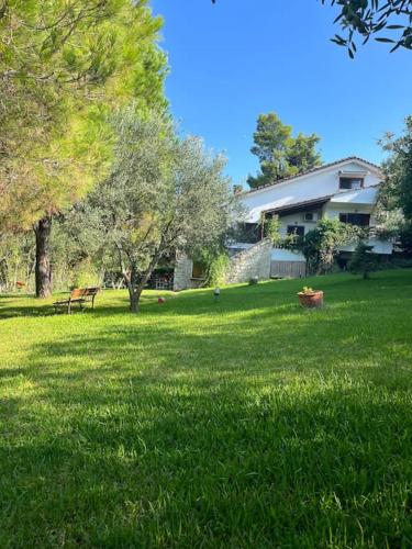 House in Sani,very close to the beach and marina House in Sani,very close to the beach and marina