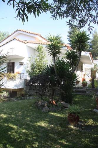 House in Sani,very close to the beach and marina House in Sani,very close to the beach and marina