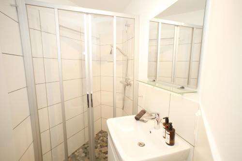 One-Bedroom Apartment image 5