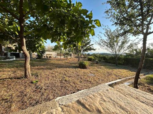 YourLittleMiracle-PanoramicView+FirePit+Garden+BBQ