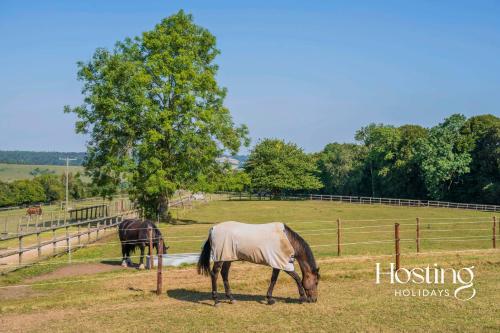 Picture of Walkers Hideaway In The Heart Of The Chilterns With Incredible Views