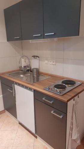 Konyha, Apartmán Anglický roh (Apartman Anglicky roh) in Frantiskovy Lazne városközpont