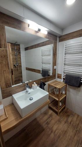 Fürdőszoba, Apartmán Anglický roh (Apartman Anglicky roh) in Frantiskovy Lazne városközpont