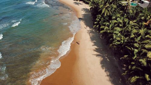 Flow Beach House - Taipu de Fora - Península de Maraú