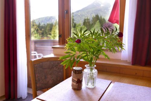 สภาพแวดล้อมโดยรอบ, Haus Almrose in ไพลค์