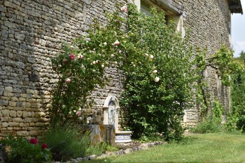 Un jardin et trois maisons