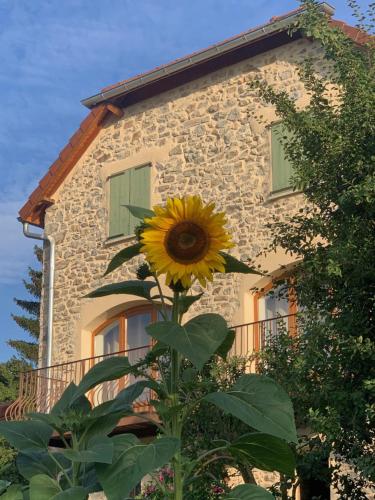 Le clos Michel aux Moines - Location, gîte - Pelleautier