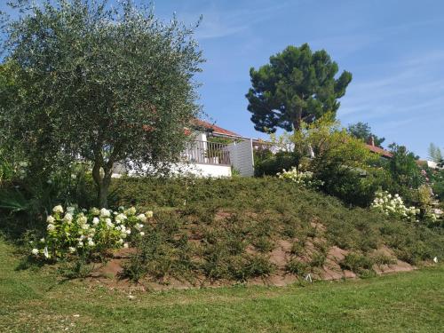 Casa Fellini