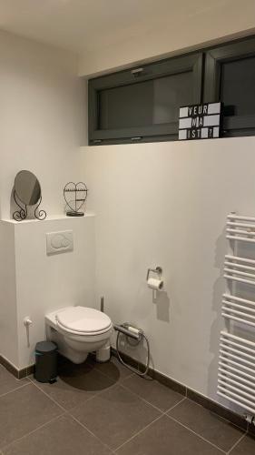 Ruime studio in Deurne, Amberes (foto 9)