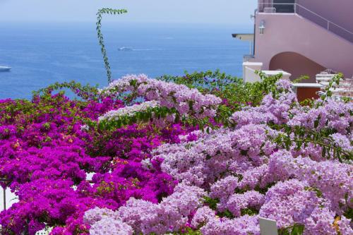Holiday Home image 1