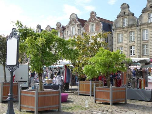 Vistas, Les coquelicots Grand Place ARRAS in Arras