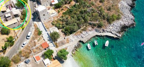 Olive oil mill