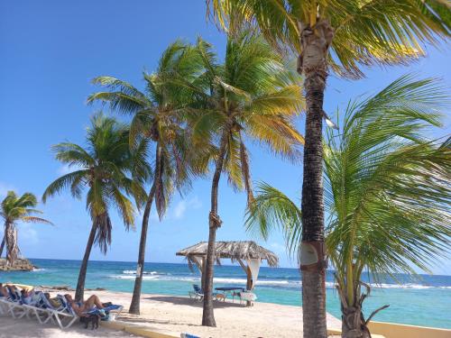 Tropical Cocooning - Hôtel - Saint-François