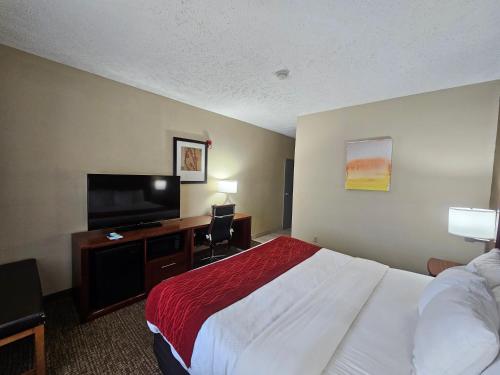 Comfort Inn Jackson I-40 - image 11