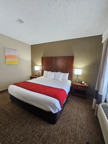 Comfort Inn Jackson I-40 - image 7