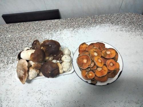 Refugio del cañon (Refugio del canon) in Ucero