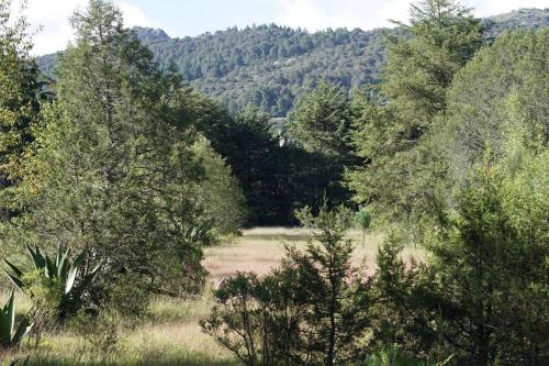 Cabaña A-Frame en La Estanzuela