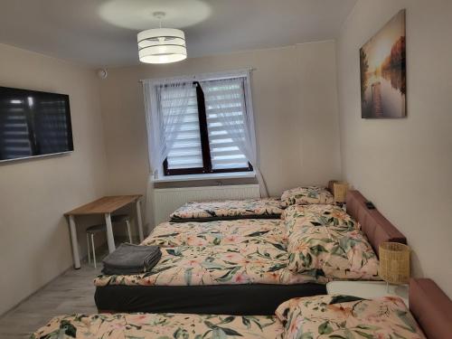 Pokój z własną kuchnią i łazienką Żyrardów SUNTAGO, Żyrardów (foto 6)