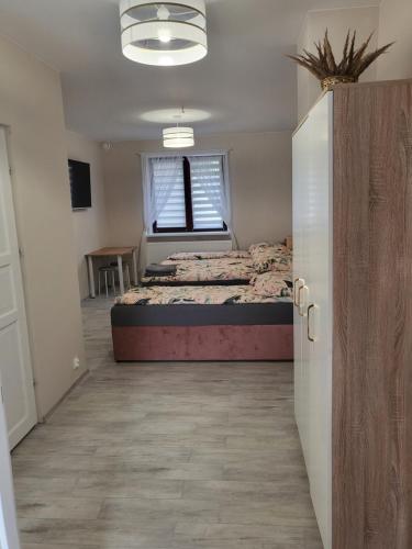Pokój z własną kuchnią i łazienką Żyrardów SUNTAGO, Żyrardów (foto 8)