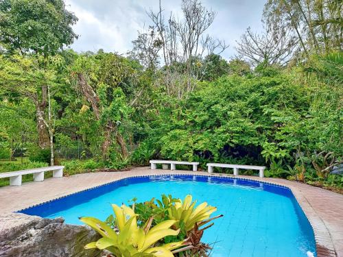 Casa de Huéspedes Privada, piscina con agua termal