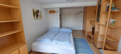 Apartment Wien Döbling, Vídeň (fotografie 9)