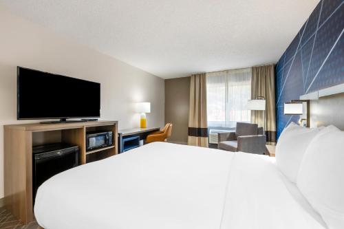 Comfort Inn Hastings - image 10