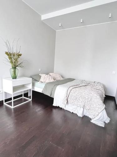 Riga Modern Apartment, Riga (fotografie 8)