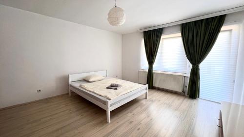 Prishtina rental house