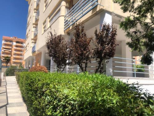 Zunanjost, La Pera Jaén (La Pera Jaen) in Barrio Penamefecit