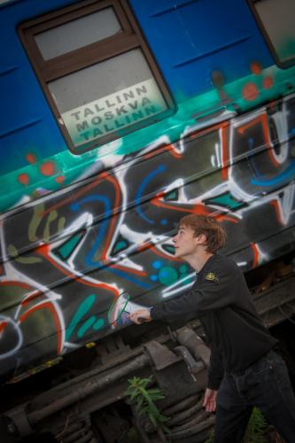 Railrooms Traincar Hostel, Tallinn (photo 8)