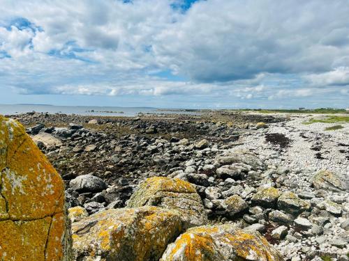 Ocean View Apartment - Connemara