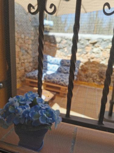 Skats, Casita Pirón (Casita Piron) in Brieva