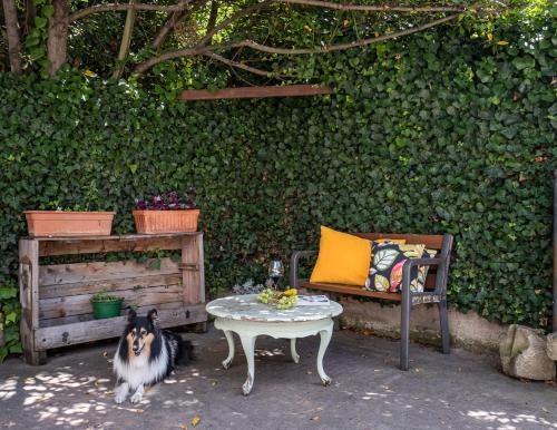 Uruñuela, un jardín entre viñedos en La Rioja