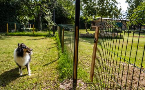 Uruñuela, un jardín entre viñedos en La Rioja