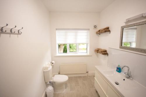 Salamander Guest House - image 4