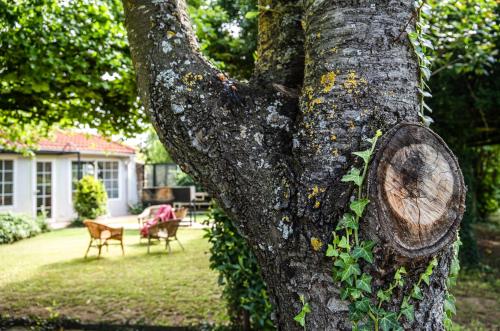 Uruñuela, un jardín entre viñedos en La Rioja