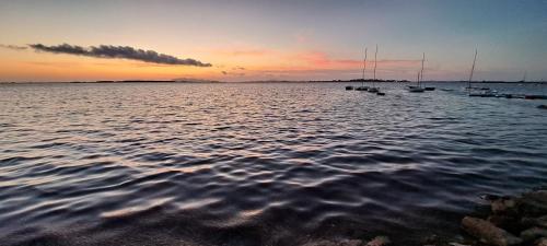 La Vie En Rose – Marsala, CA