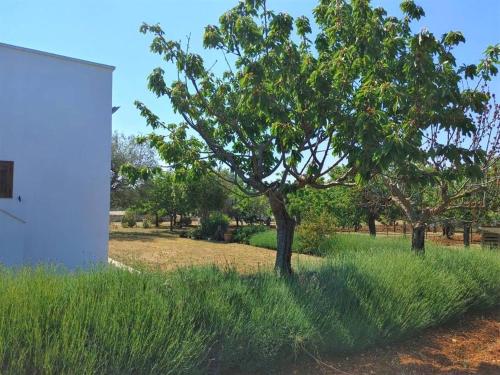  Villa Sant´Oceano in Monopoli