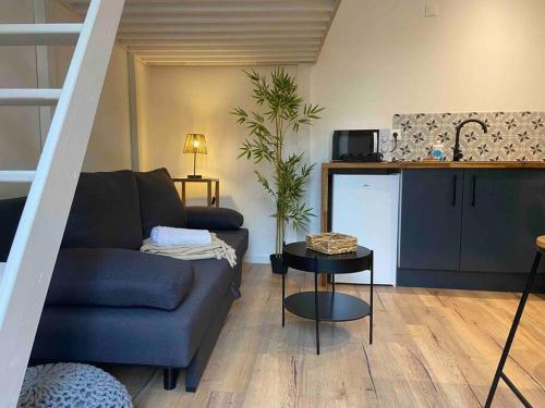 Charmant Studio in Vierzon