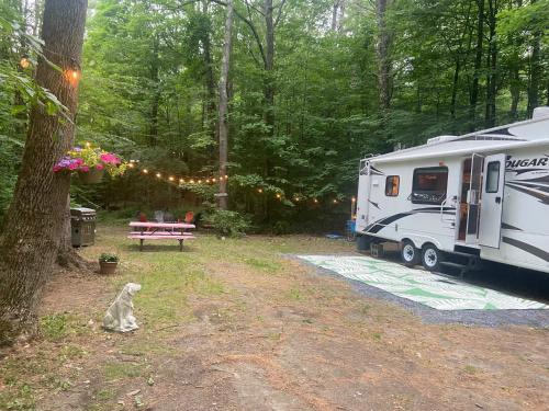 Lake Lauderdale Campground in Cambridge, USA