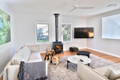 Coastal Pet Friendly Luxe