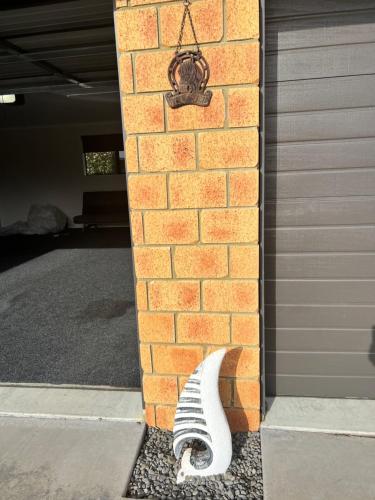 MataMata, Matamata (foto 7)