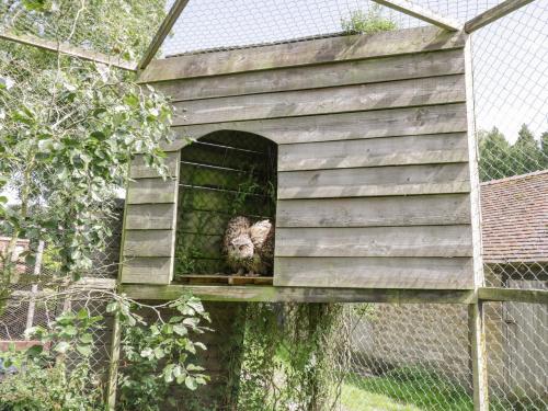 Betty's Barn - image 10