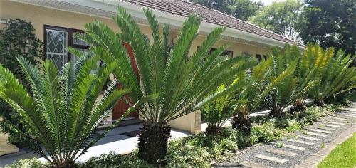 Chez Nous Bed and Breakfast & Self Catering in Dundee