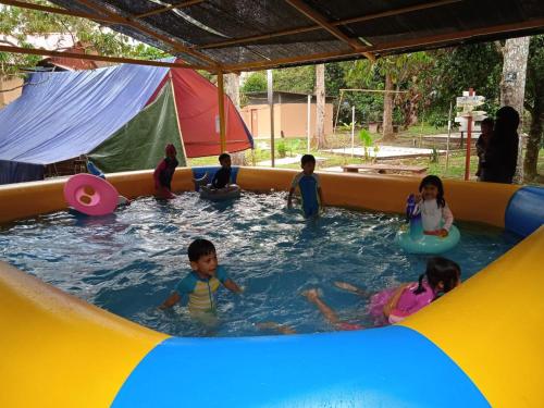 Swimming pool, Rasa Durio Eco Glampz in Rasa