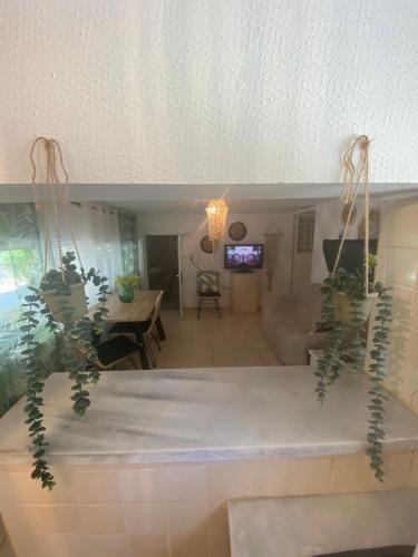 Studio Cleopatra, Kanali (photo 5)